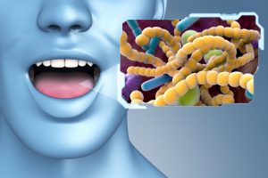 mouth bacteria